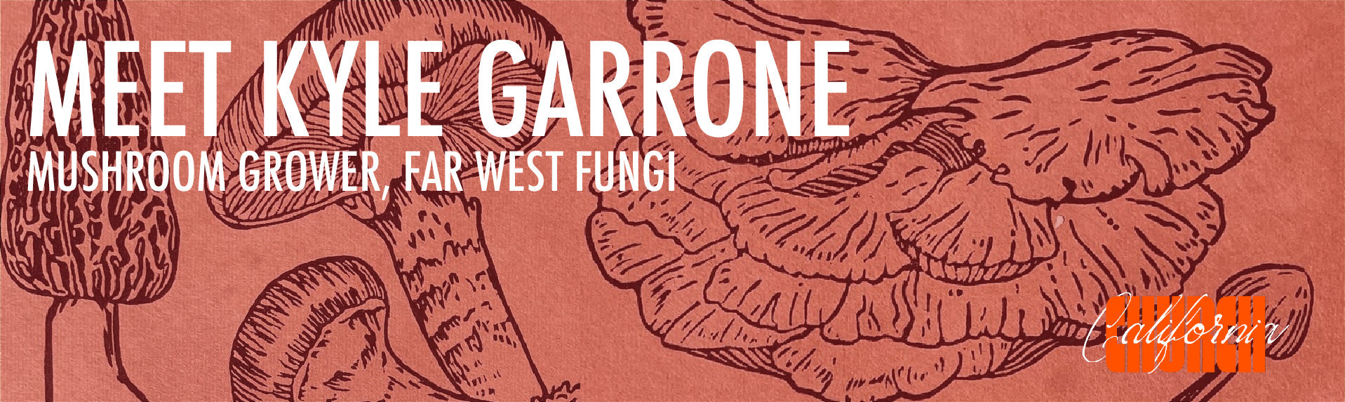 Header for Meet Kyle Garrone from Far West Fungi blog post