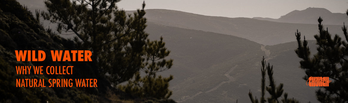 Wild Water header
